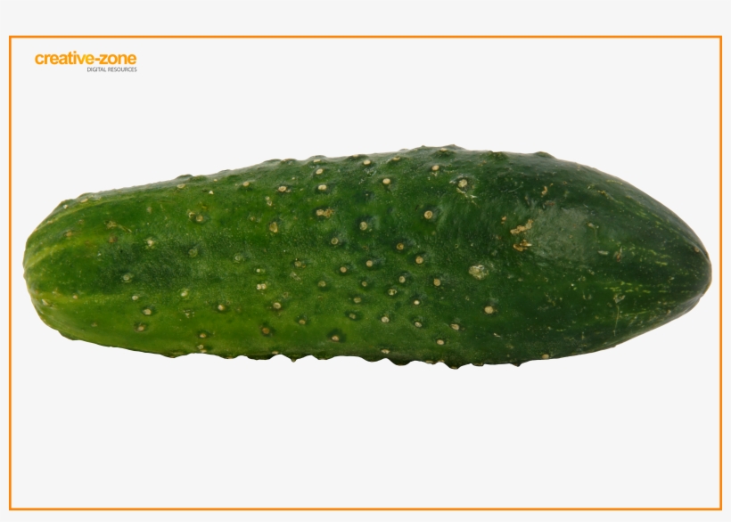 Cucumber - West Indian Gherkin, transparent png