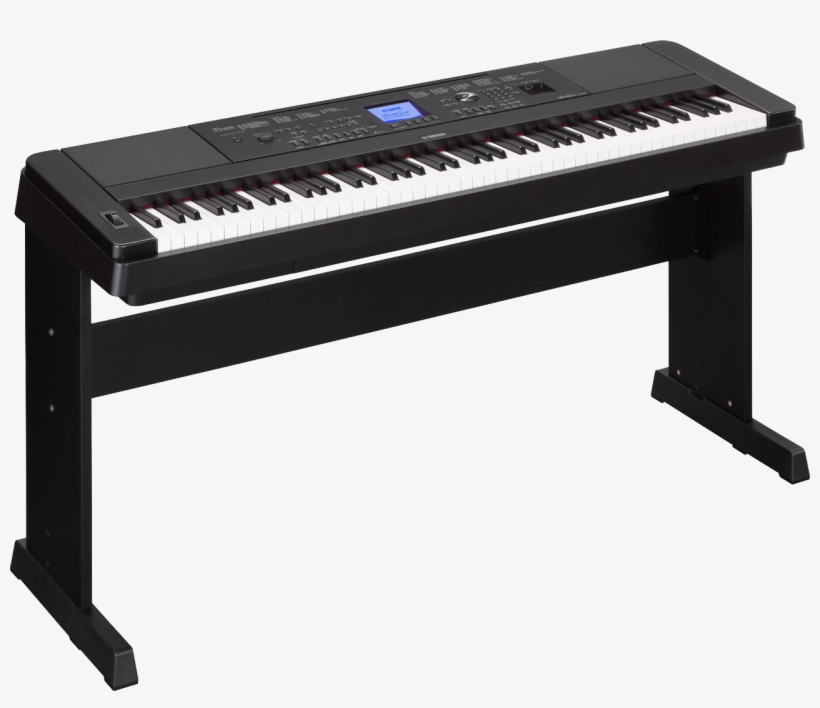 Yamaha Dgx660 Black With Bonus Lp7a Foot Pedals - Piano Yamaha Dgx 660, transparent png