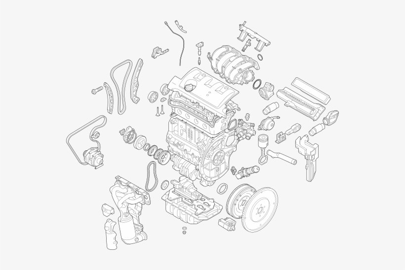 Illustration, transparent png