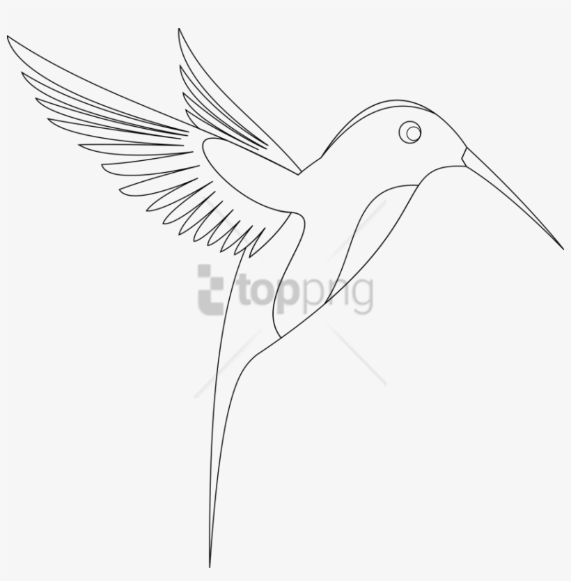 Free Png Download Line Art Of Birds Png Images Background - Hummingbird, transparent png