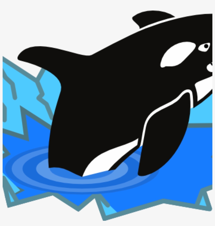 Orca Whale Clip Art Orca Whale Clipart At Getdrawings - Killer Whale, transparent png
