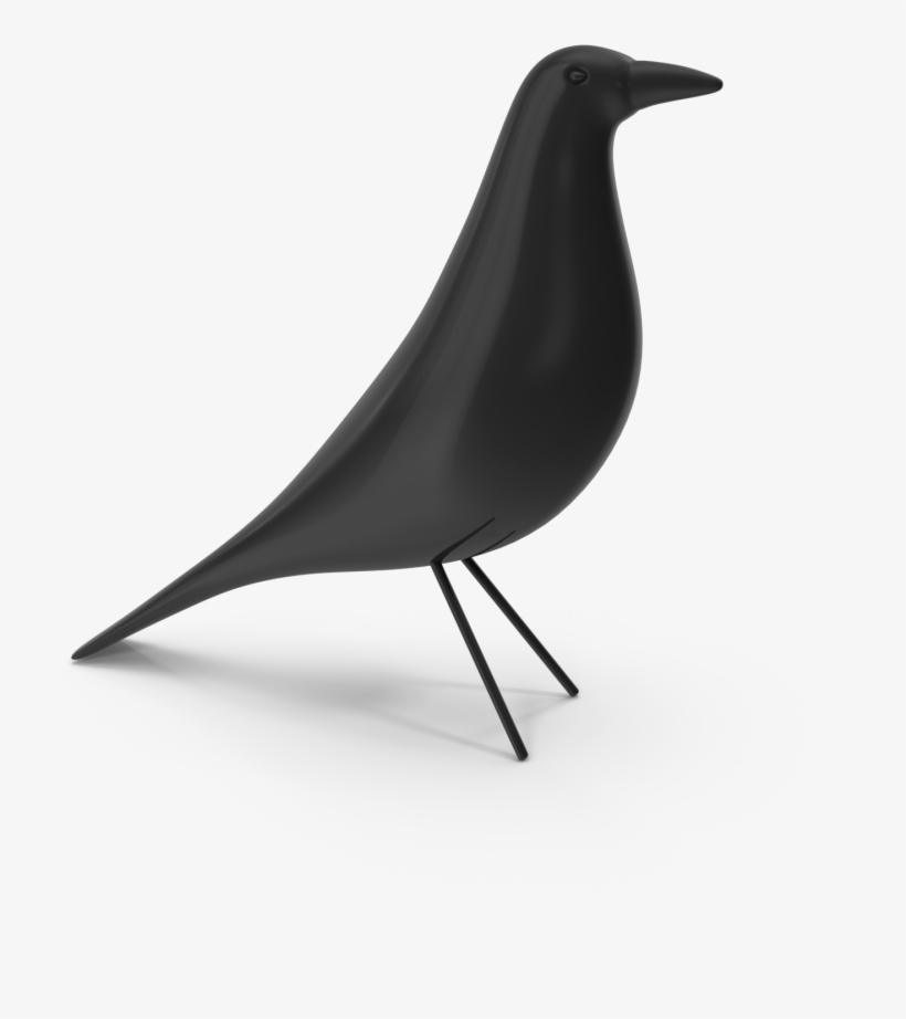 About - Fish Crow, transparent png