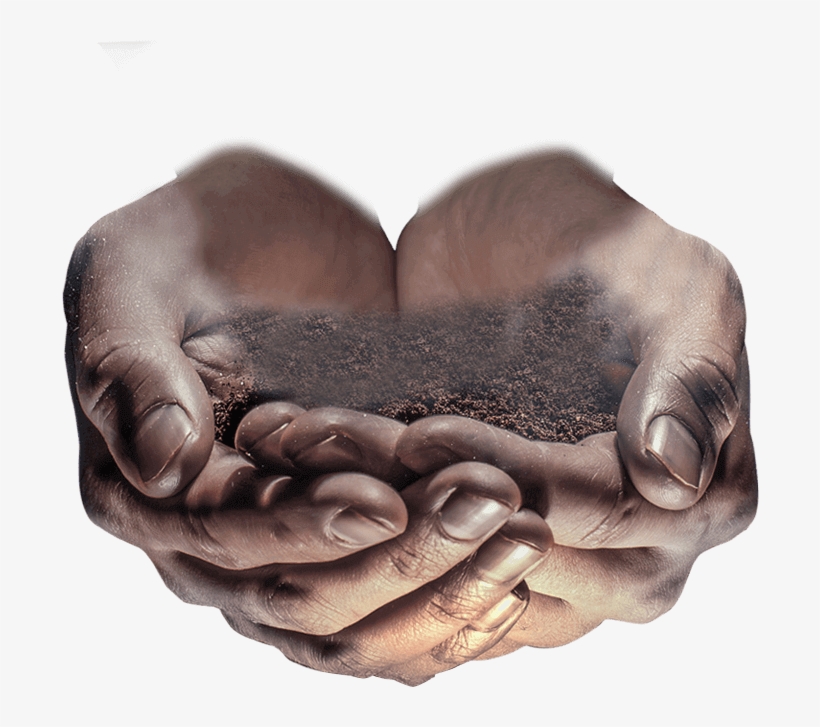 Stock Photography, transparent png