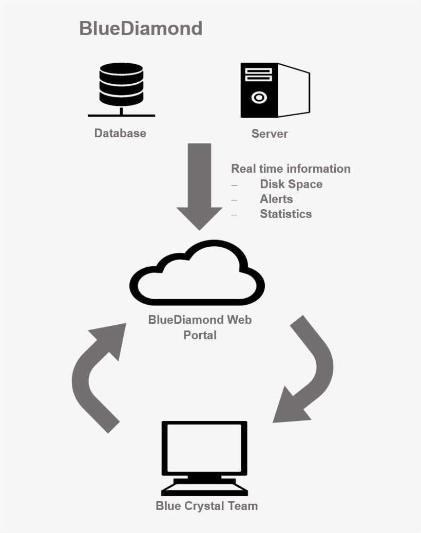 Bluediamond Gives You The Confidence That Your System - Black-and-white, transparent png