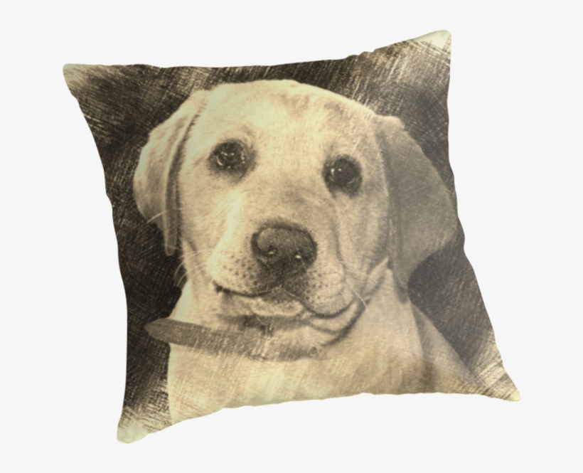 Labrador Pupthrow Pillow By Fantasytripp - Labrador Retriever, transparent png