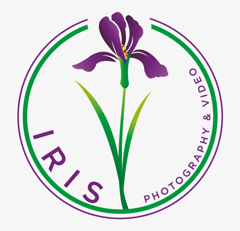 Iris Flower Png, transparent png