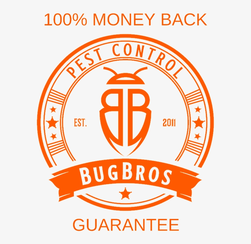 Image - Circle, transparent png