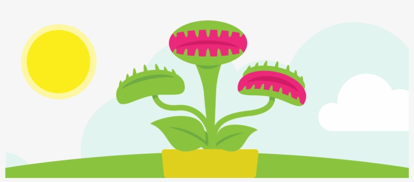 Venus Fly Trap Png - Illustration, transparent png