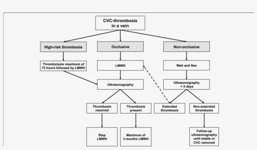 Cvc-thrombosis In A Blood Vein - Diagram, transparent png