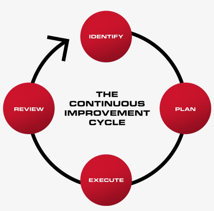 Ci Requires A Deliberate And Sustained Effort, And - Tui Chain Of Distribution, transparent png