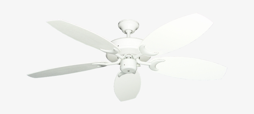 Picture Of Patio Fan Pure White With 52" Outdoor Oar - Ceiling Fan, transparent png