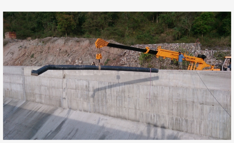 Baner Sangam Shpp - Tree, transparent png