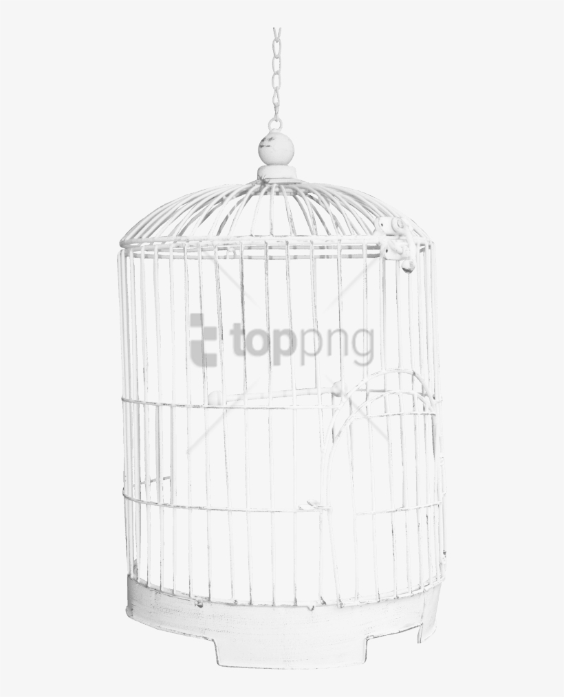 Free Png Download Birdcage Png Images Background Png - Cage, transparent png