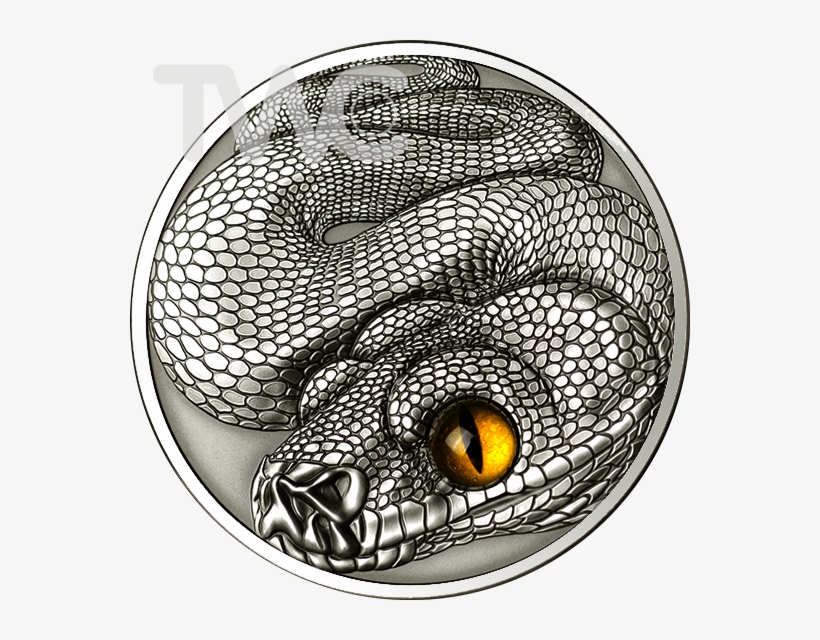 Out Of Stock - Serpent, transparent png
