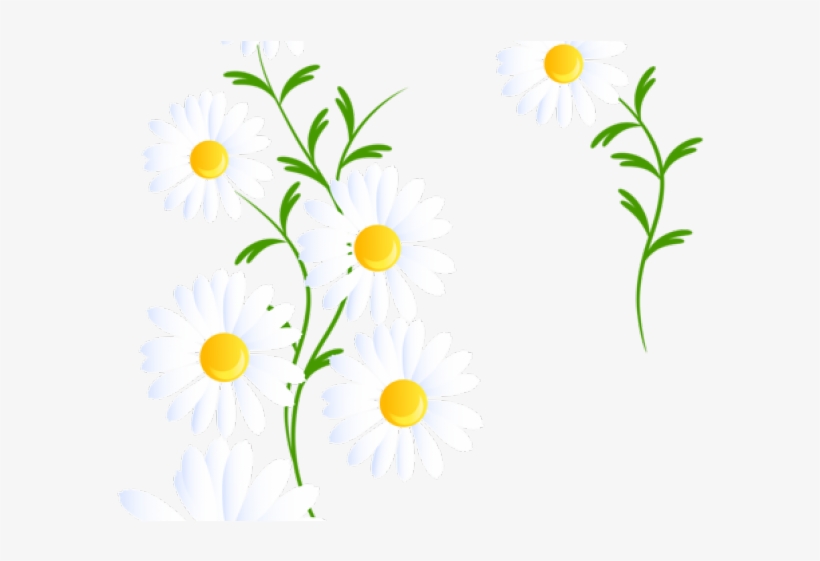 Daisy Clipart Margarita Flower - Portable Network Graphics, transparent png