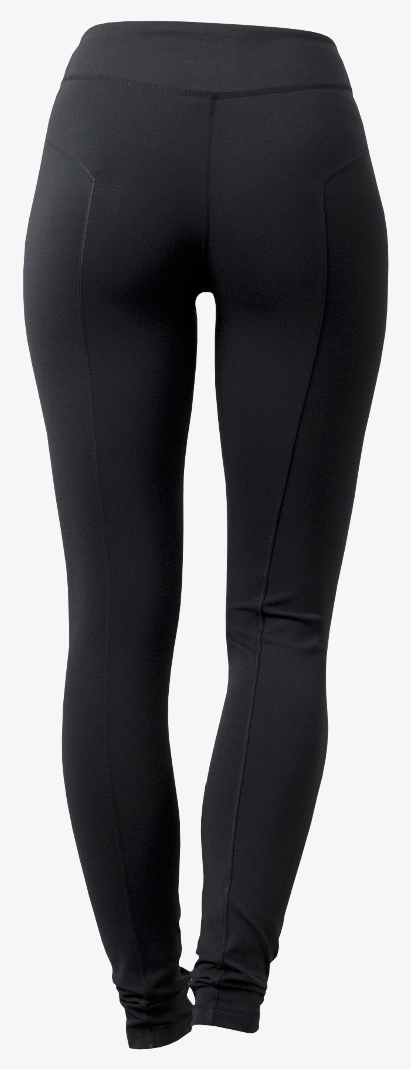 Crane And Lion Original Tight - Tights, transparent png