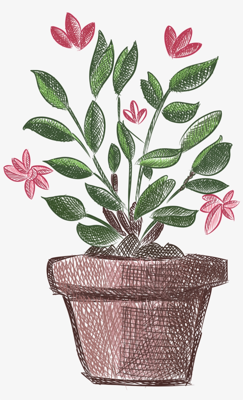 Plantas Pintadas A Mano Flores Frescas En Maceta Png - Plants, transparent png