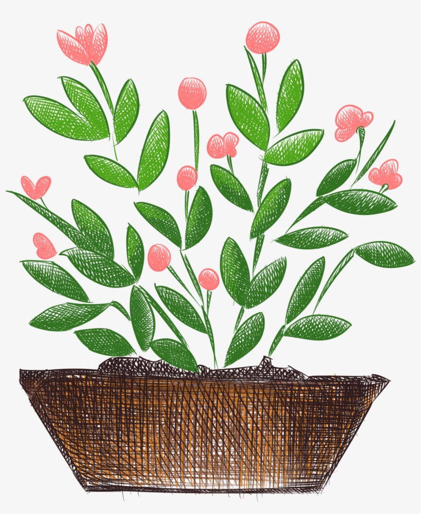 Plantas Pintadas A Mano Flores Frescas En Maceta Png - Flowerpot, transparent png