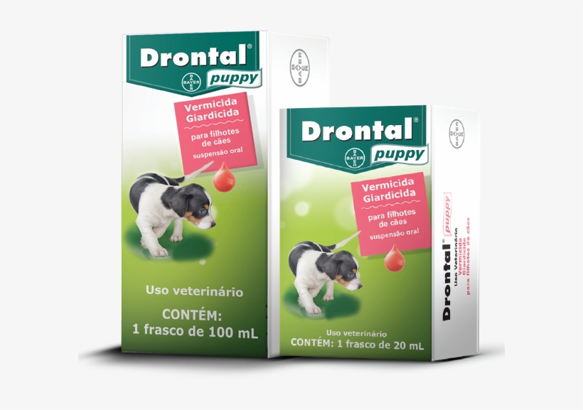 Drontal® Puppy - Remedio De Verme Para Cachorro Filhote Preço, transparent png