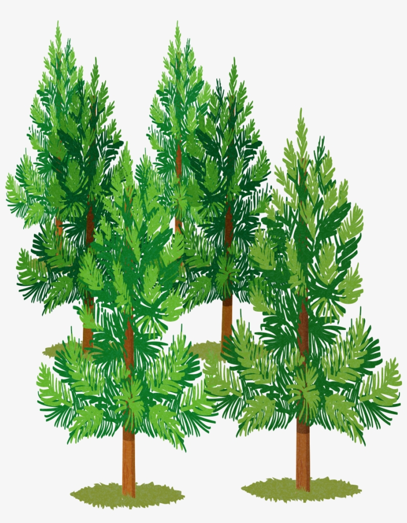 Christmas Tree, transparent png