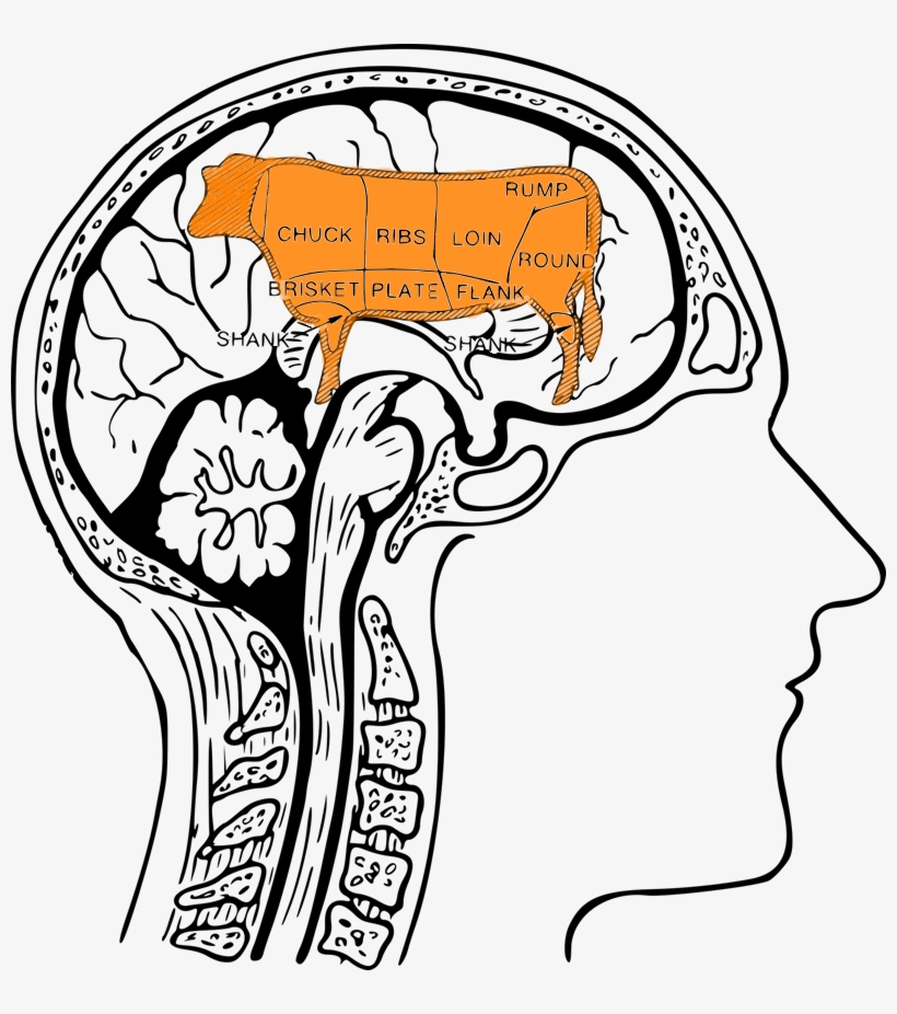 Protein And The Brain - Colouring Image Of Human Brain, transparent png