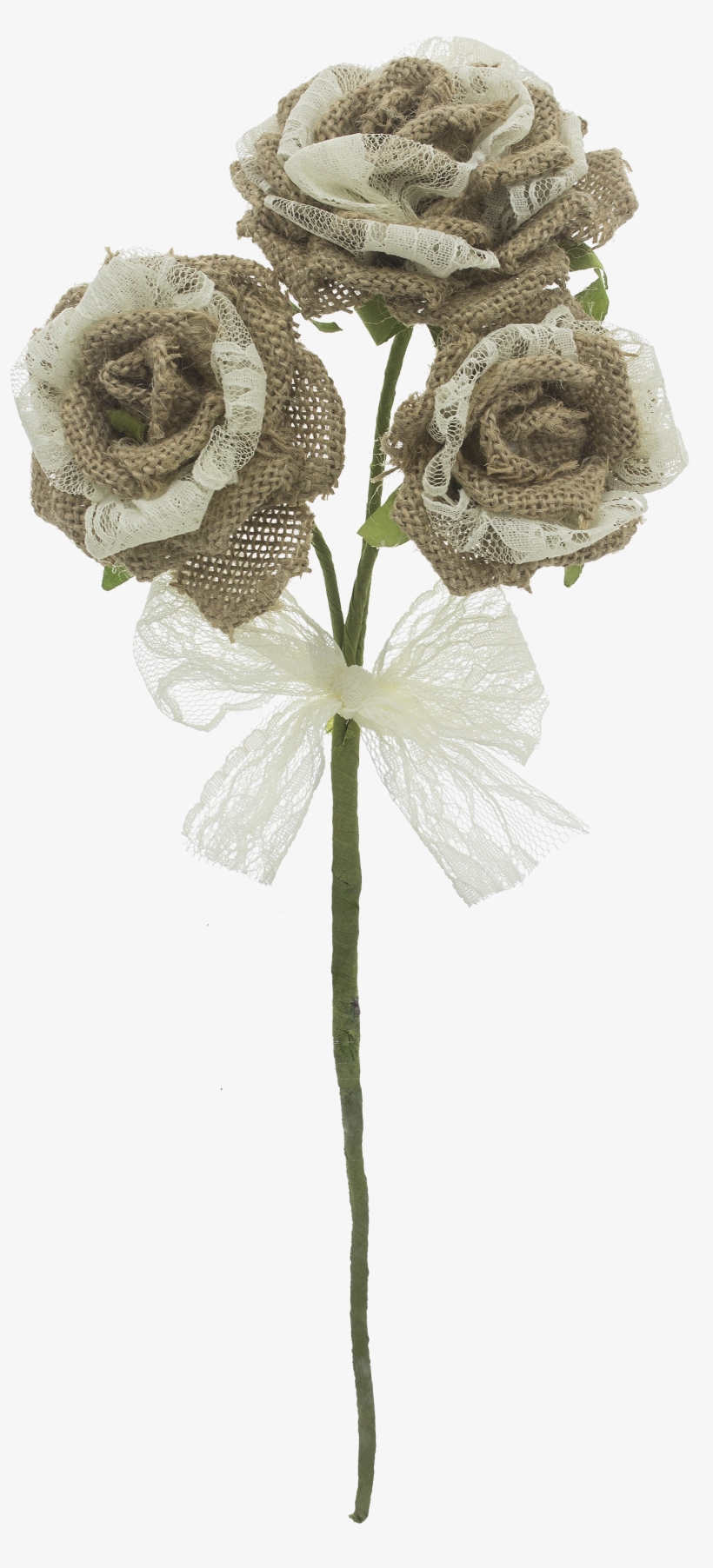 Fx49841 - Garden Roses, transparent png