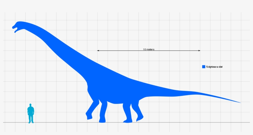 Size Comparison - Lesothosaurus, transparent png