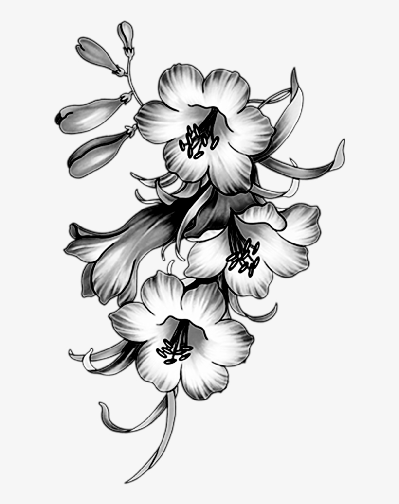Фотки Sketch 2, Paper Craft, Black And White, Tatuajes, - Flower Borders And Frames, transparent png