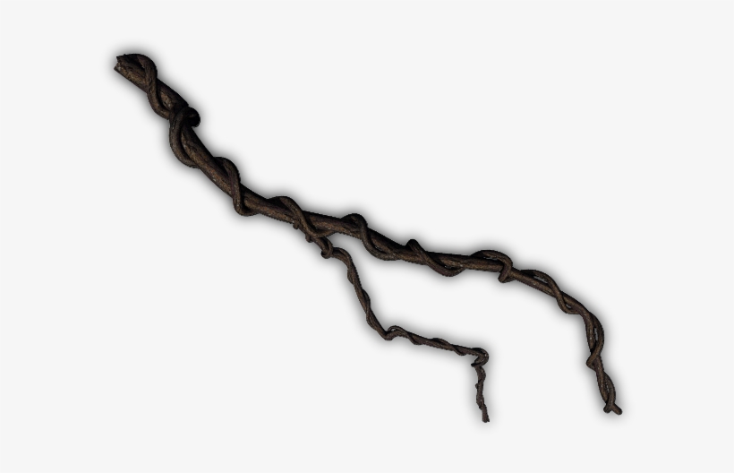 06 Feb 2009 - Jungle Vines Liane Jungle Png, transparent png