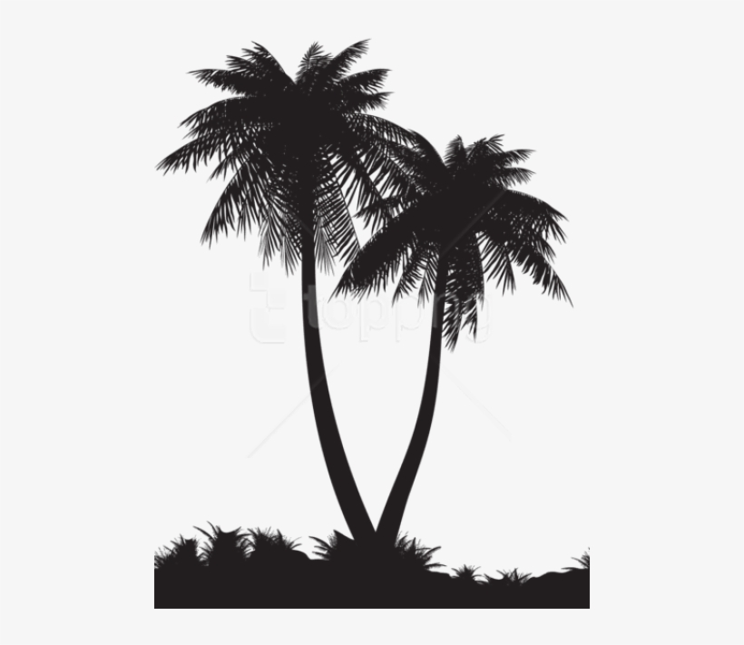Free Png Palm Trees Silhouette Png - Palm Tree Silhouette Transparent Background, transparent png
