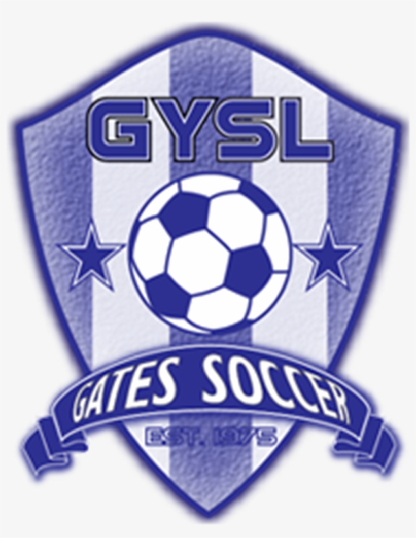 Aff Suzuki Cup 2010, transparent png