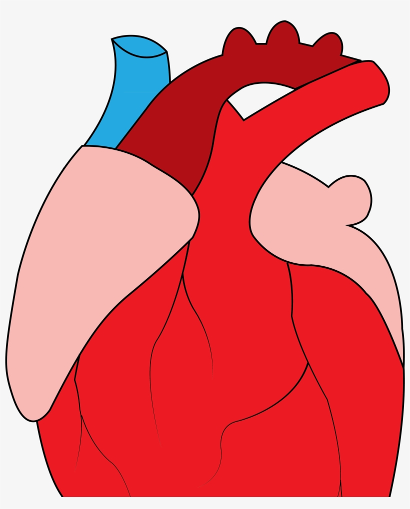 Heart Sticker - Illustration, transparent png
