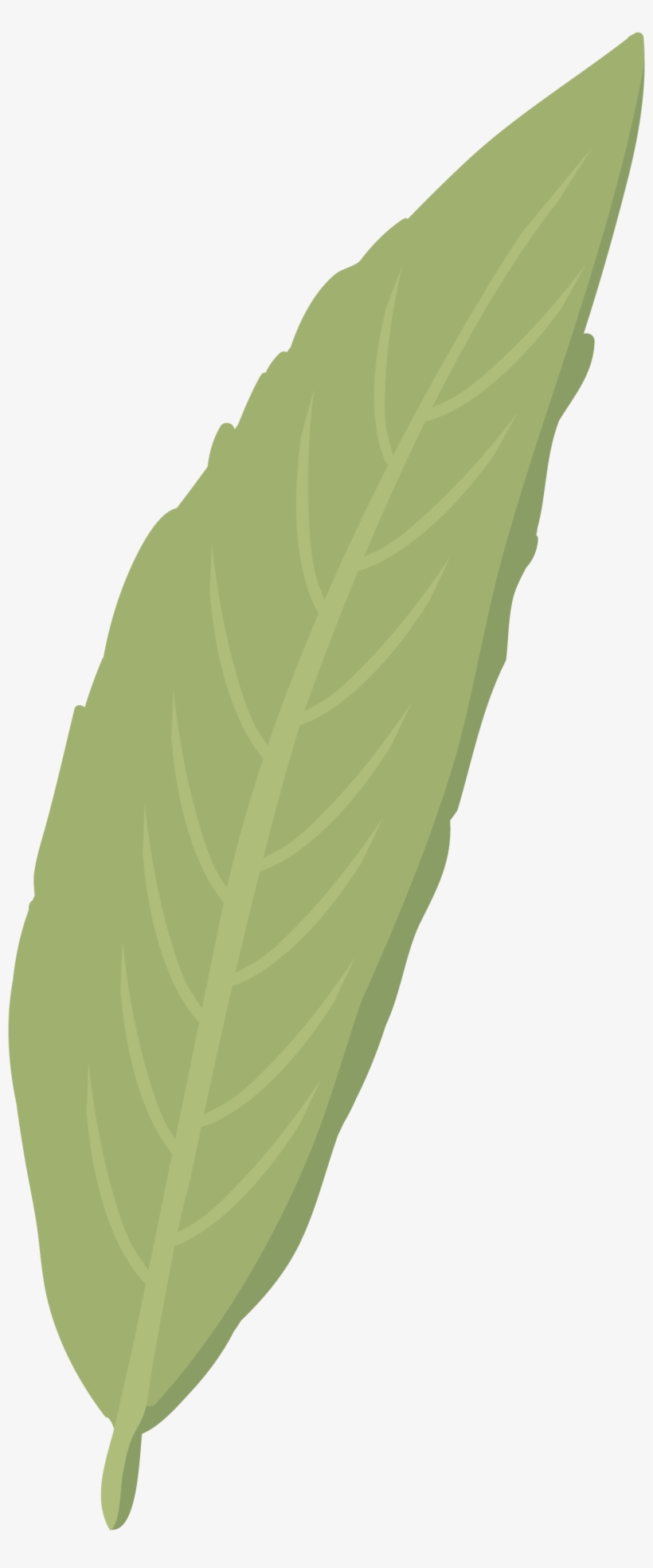 Hoja - Illustration, transparent png