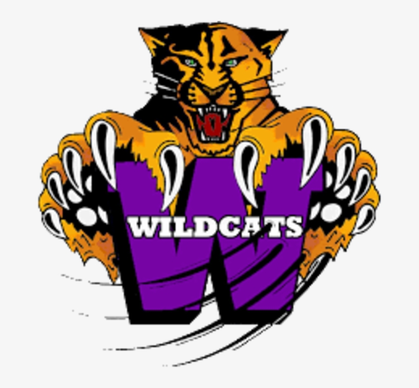 Wildcat Clipart Glidden Ralston - Wildcats Middle School, transparent png