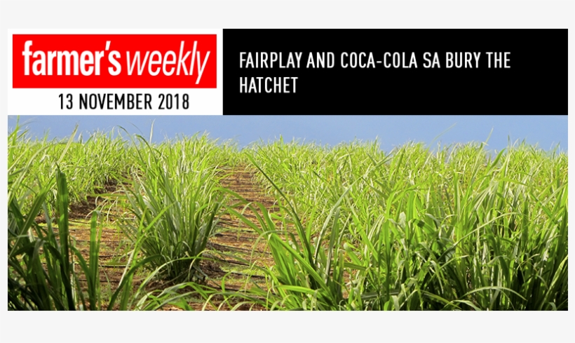 Fairplay And Coca-cola Sa Bury The Hatchet - Paddy Field, transparent png