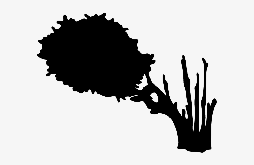 Tree-01 - Silhouette, transparent png