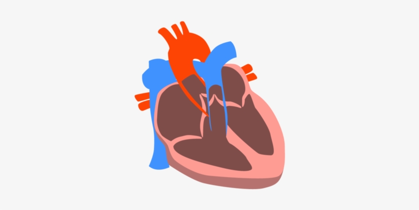 Heart, transparent png