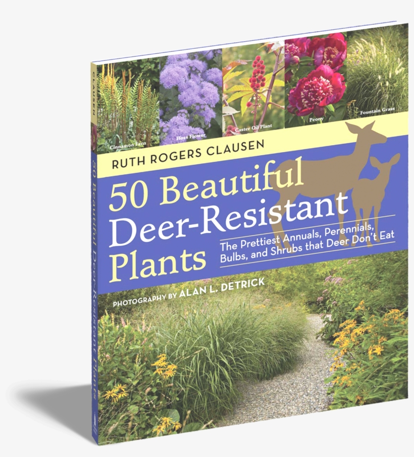 50 Beautiful Deer Resistant Plants Workman Publishing - Plants Deer Don T Like, transparent png