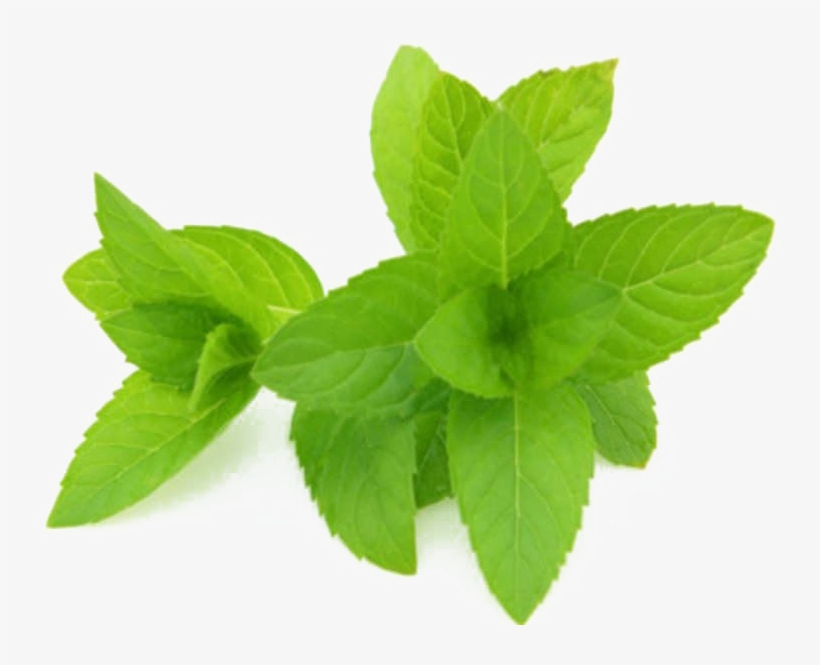 Peppermint Extract, transparent png