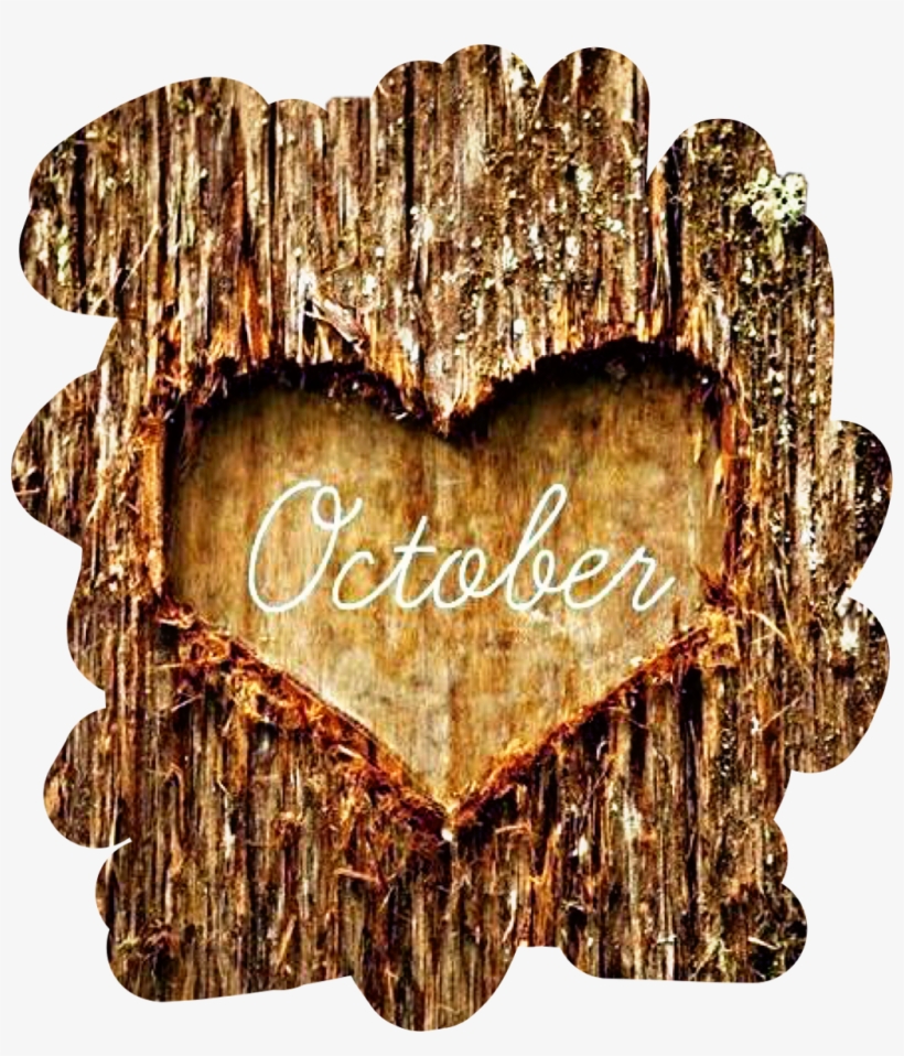 #tree #bark #heart #october #autumn #fall #freetoedit - October Love, transparent png