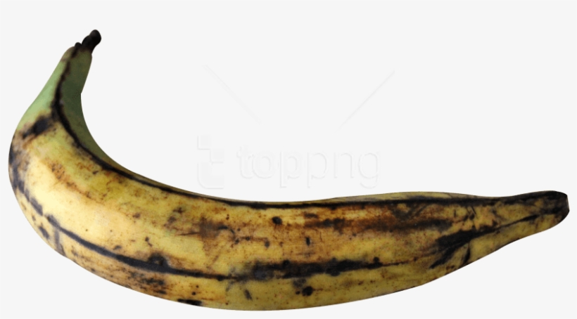 Free Png Plantain Banana Png Images Transparent, transparent png