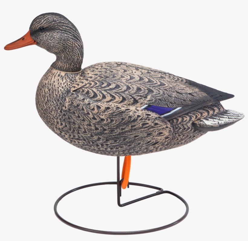 Oversized Field Mallard Active Hen Duck Hunting Decoy - Mallard, transparent png