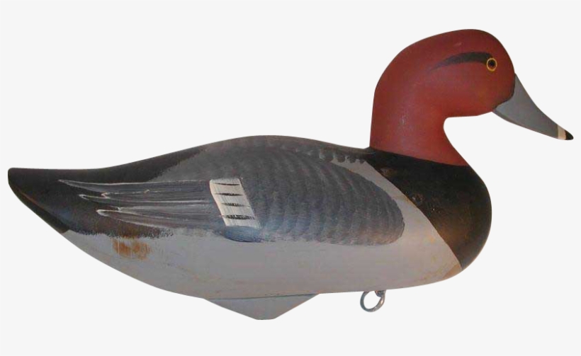 Contemporary Carved Wood Redhead Duck Decoy By Jim - Canvasback Duck, transparent png