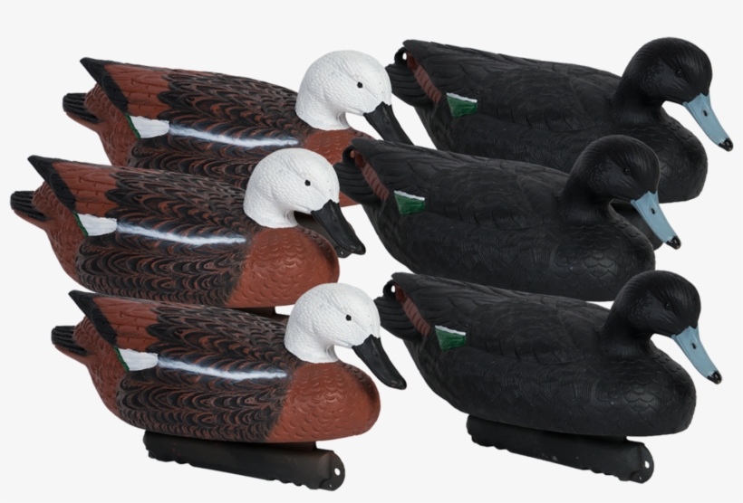 Birdlands 17" Premium Paradise Duck Floaters - Plush, transparent png
