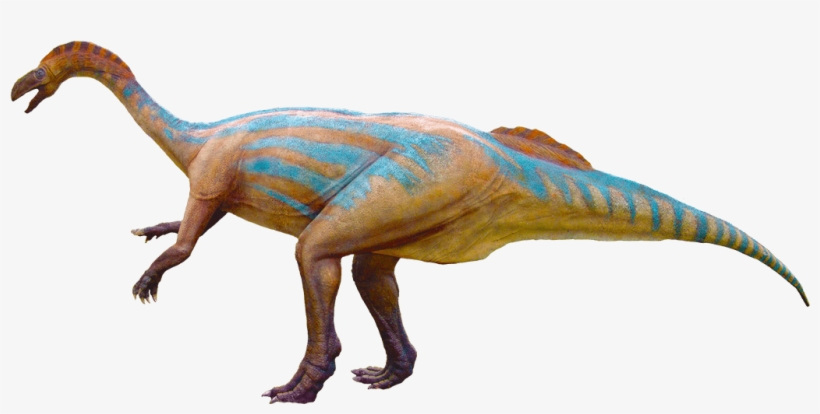 Trackmaker Of The Otozoum Footprint - Plateosaur, transparent png