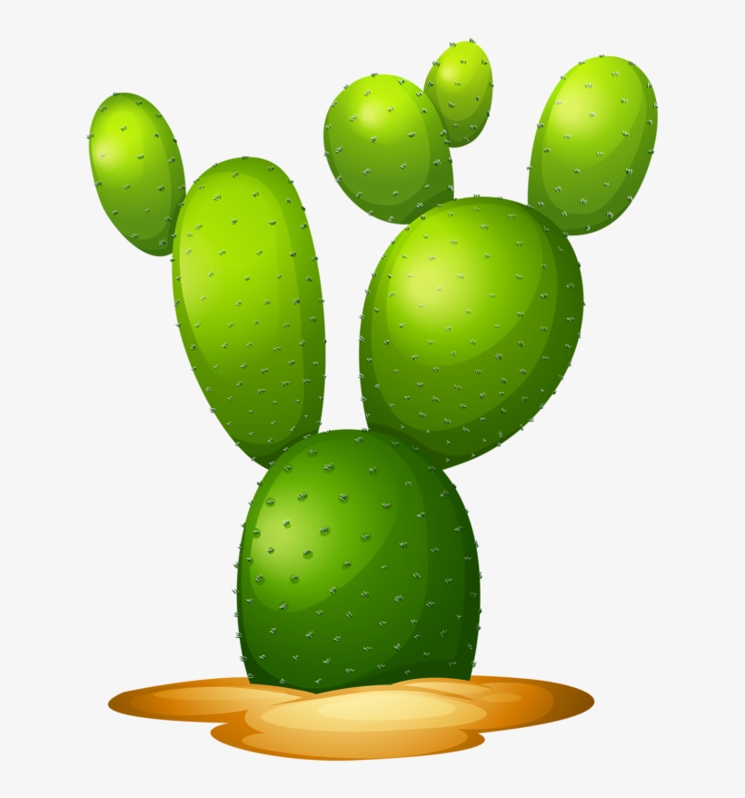 Фото, Автор Soloveika На Яндекс - C Is For Cactus, transparent png
