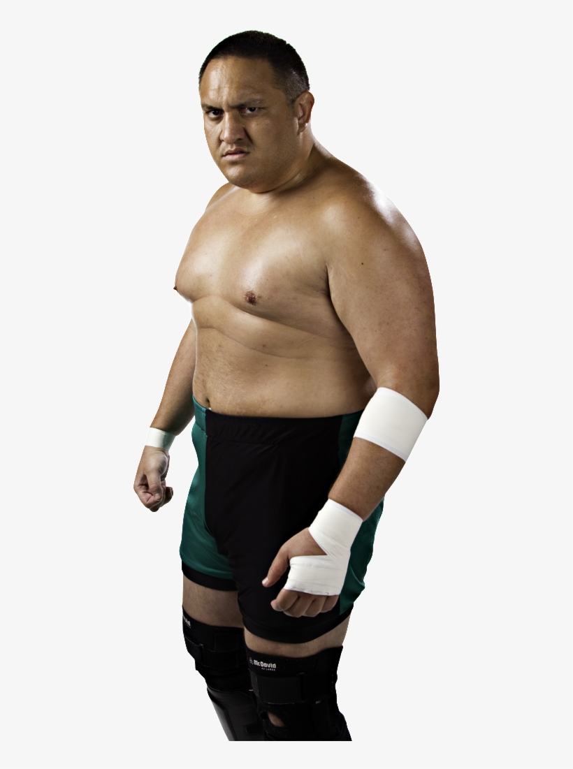 31 - Barechested, transparent png