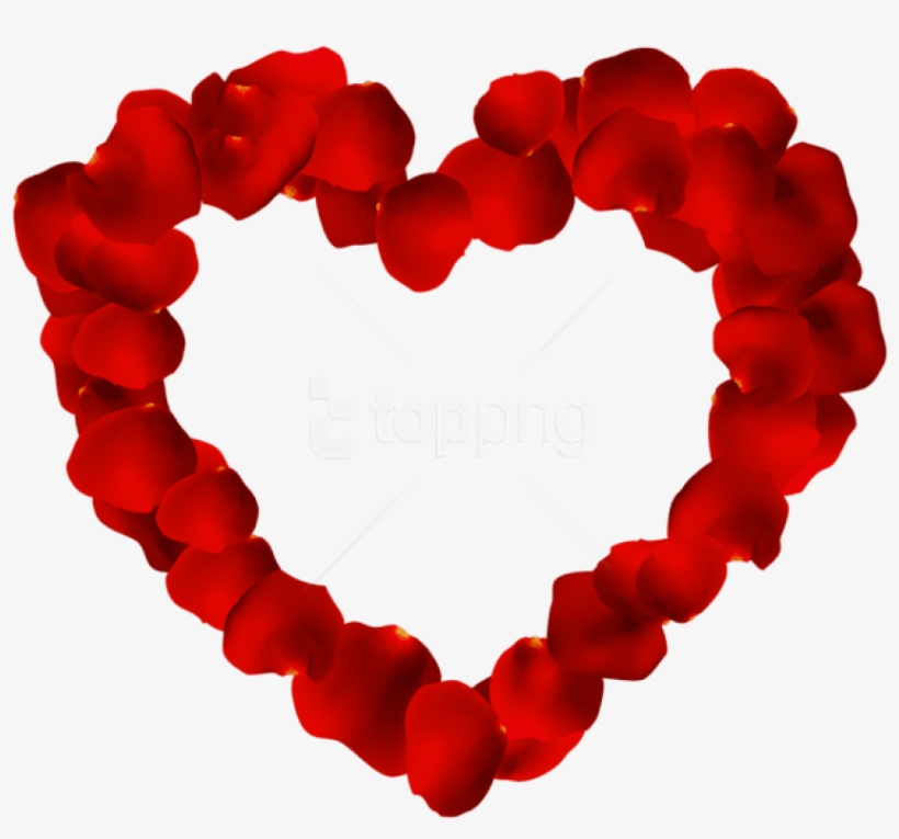 Free Png Rose Petals Png - Rose Petals Png Transparent, transparent png