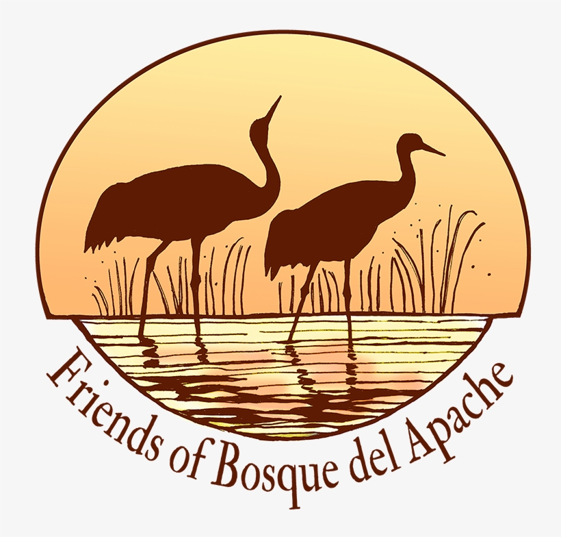 Festival Of The Cranes - Flightless Bird, transparent png
