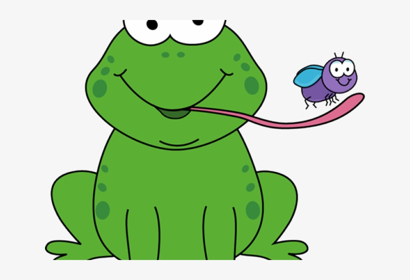 Frog Pictures For Kids - Frog Eating Fly, transparent png
